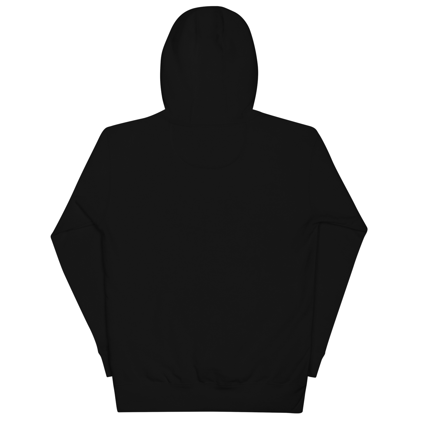 HCIR-EIV  Hoodie