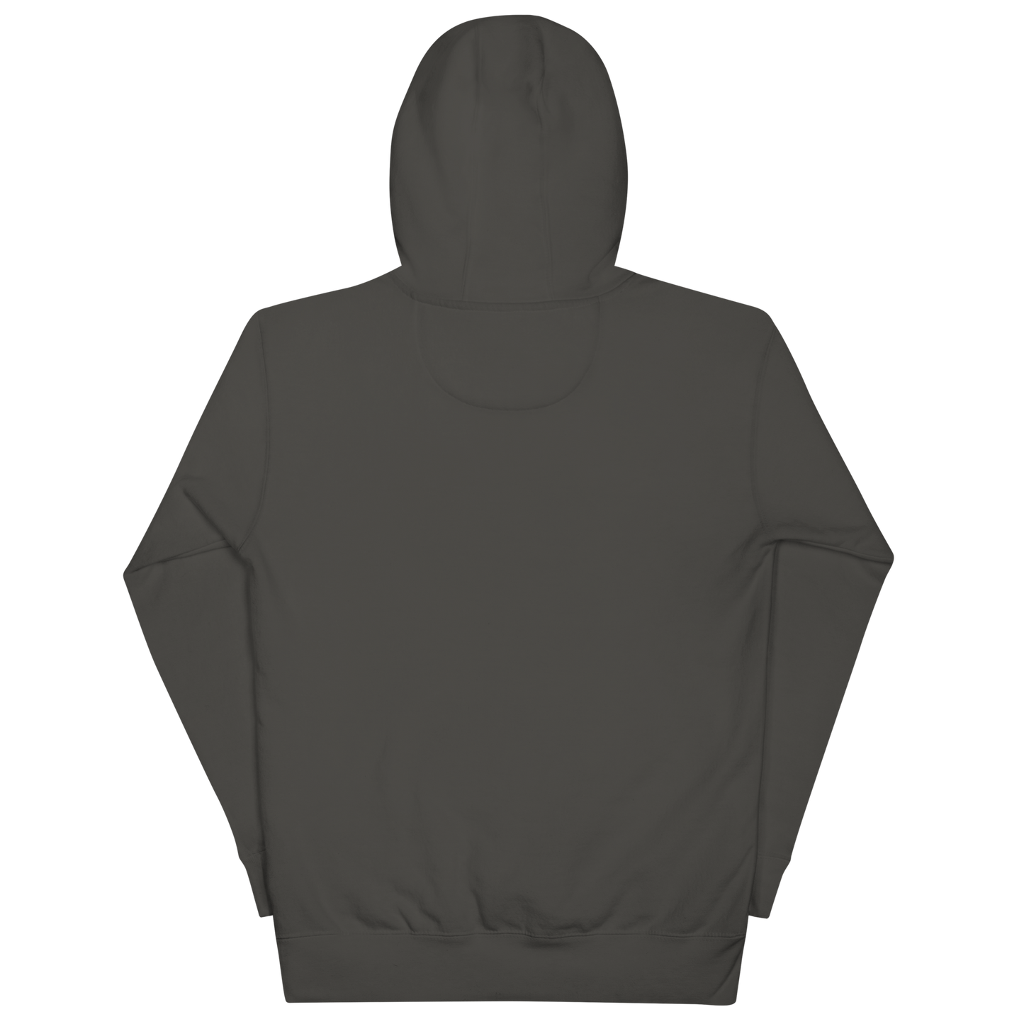 HCIR-EIV  Hoodie